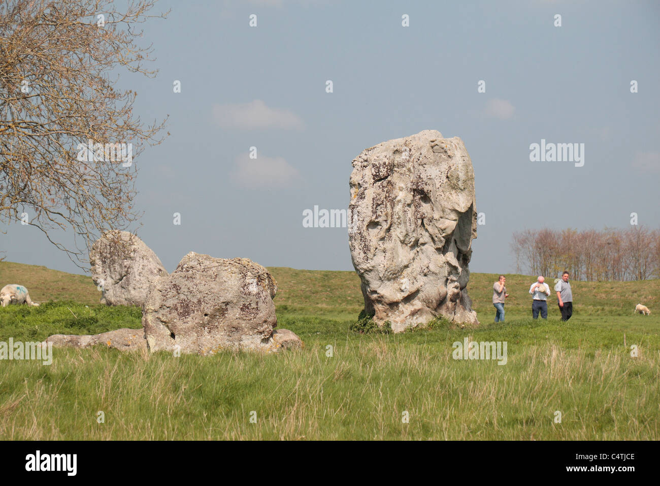 I visitatori a camminare accanto ad alcuni del cerchio interno di pietre permanente. parte di Avebury Henge & circoli di pietra sito, Wiltshire, Inghilterra. Foto Stock