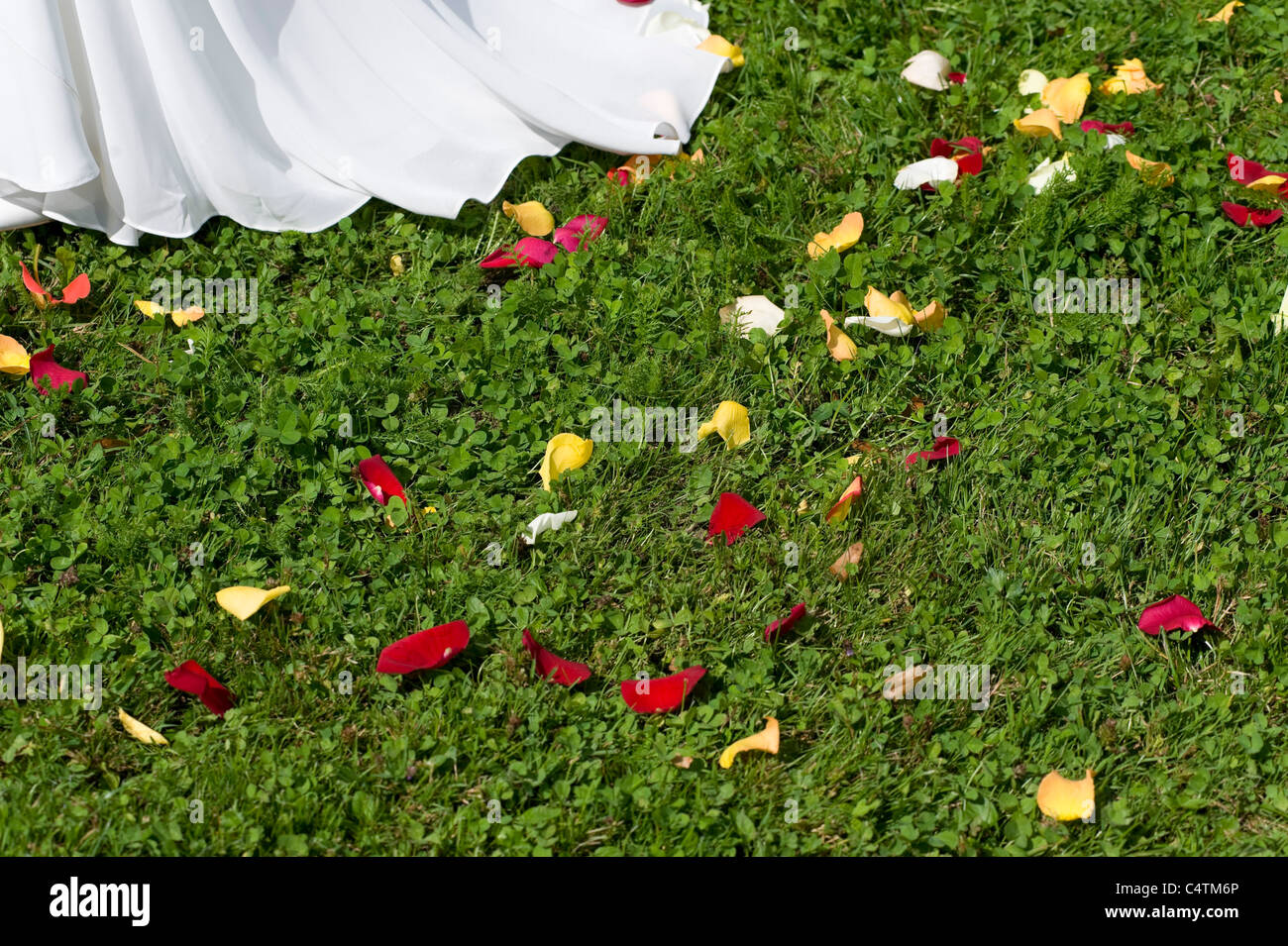 Petali di fiori e bordo dell abito da sposa, Gmunden, Austria superiore, Austria Foto Stock
