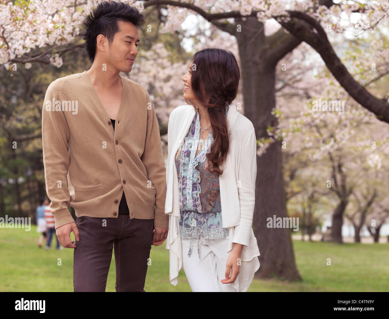 Licenza disponibile all'indirizzo MaximImages.com - giovane coppia asiatica che cammina in un parco sotto ciliegi in fiore Foto Stock
