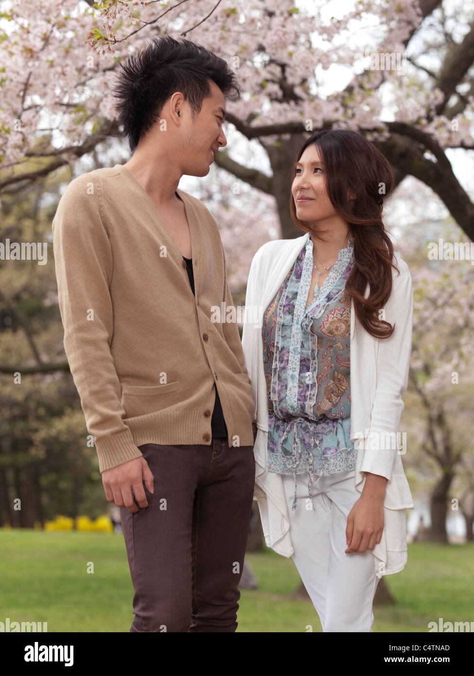 Licenza disponibile all'indirizzo MaximImages.com - giovane coppia asiatica che cammina in un parco sotto ciliegi in fiore Foto Stock