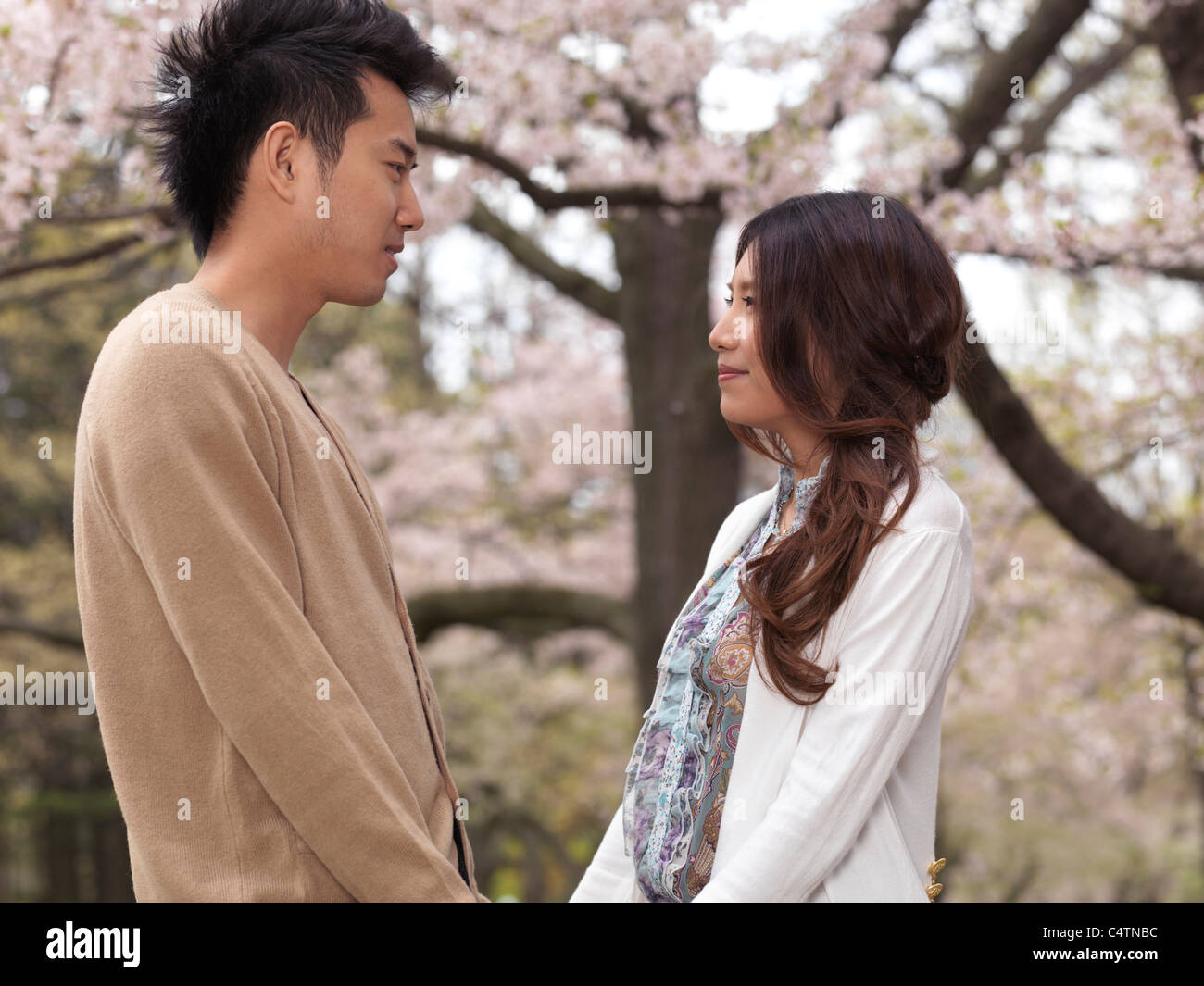 Licenza disponibile all'indirizzo MaximImages.com - giovane coppia asiatica felice in un parco sotto ciliegi in fiore Foto Stock