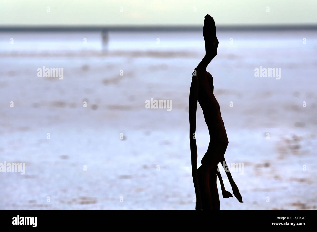 Sculture artistiche ( all'interno di Australia Exhibition ) Sul Lago Ballard di Antony Gormley, Australia occidentale Foto Stock