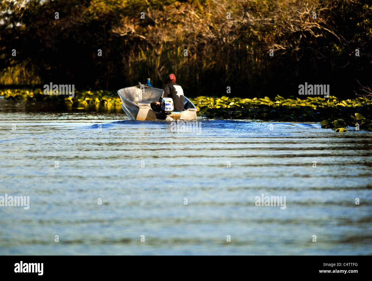 Uomo in una piccola imbarcazione sulla crociera di acqua tra la vegetazione in Everglades Foto Stock