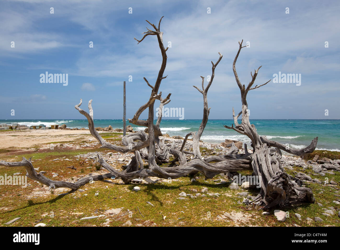 Vista sulla Baia di Lac, Bonaire, una parte dell'isola delle Antille olandesi nel Mar dei Caraibi. Foto V.D. Foto Stock