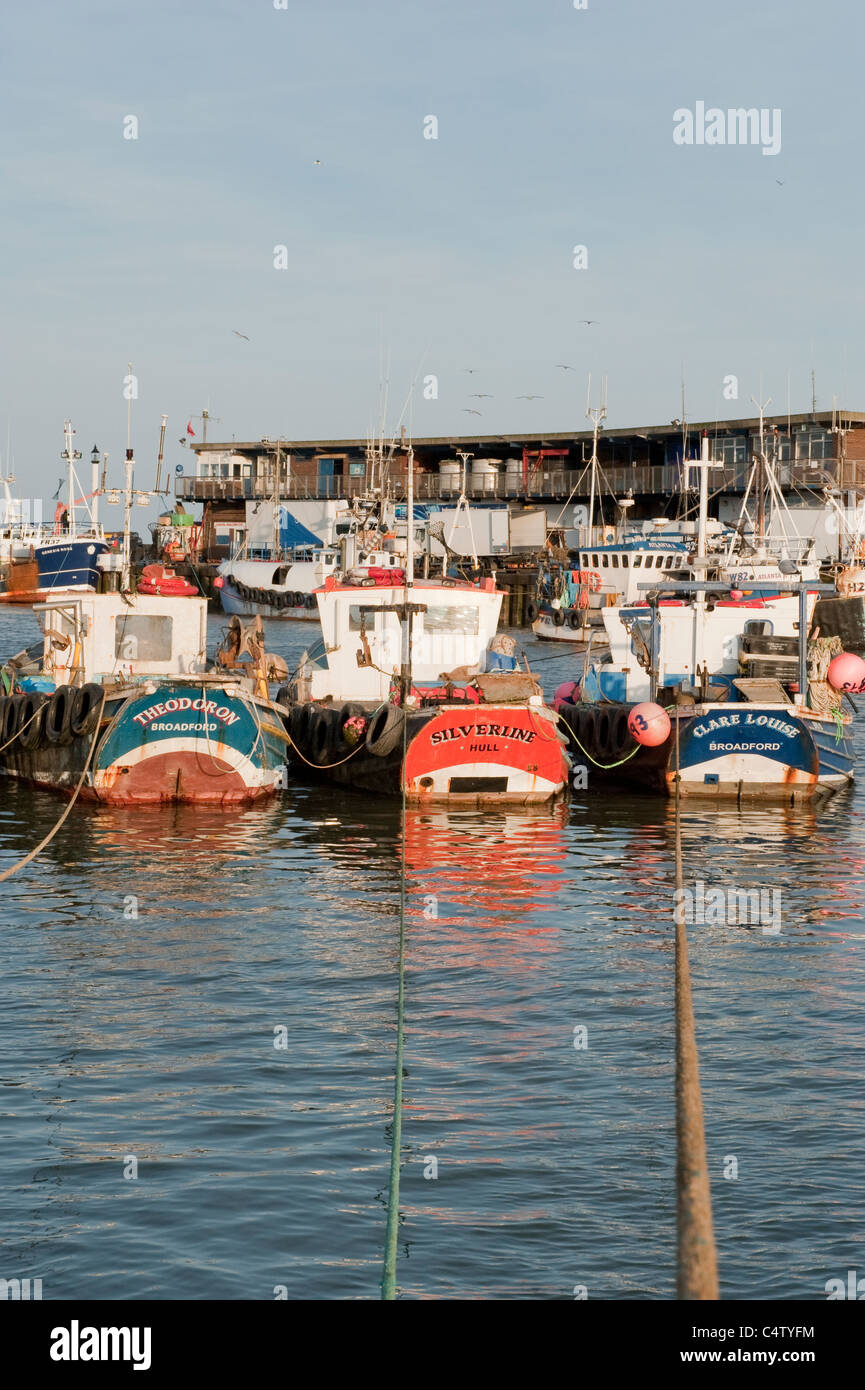 Porto di Bridlington sotto il sole serale (barche da pesca ormeggiate dal molo, corde ormeggiate, banchina di pesce, mare calmo) - panoramica città della costa dello Yorkshire del Nord, Inghilterra, Regno Unito Foto Stock
