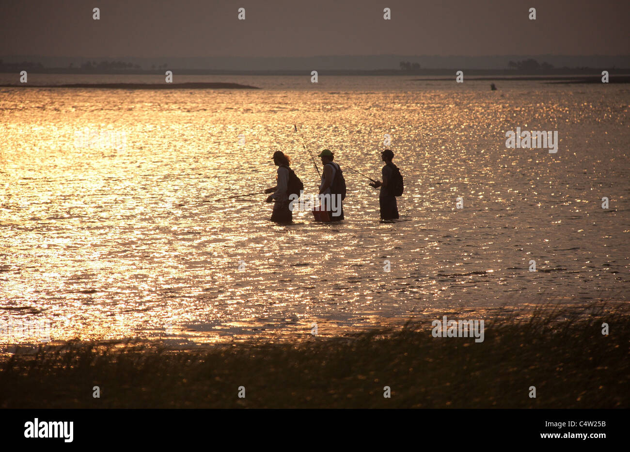Tre amici la pesca al tramonto in Florida Foto Stock