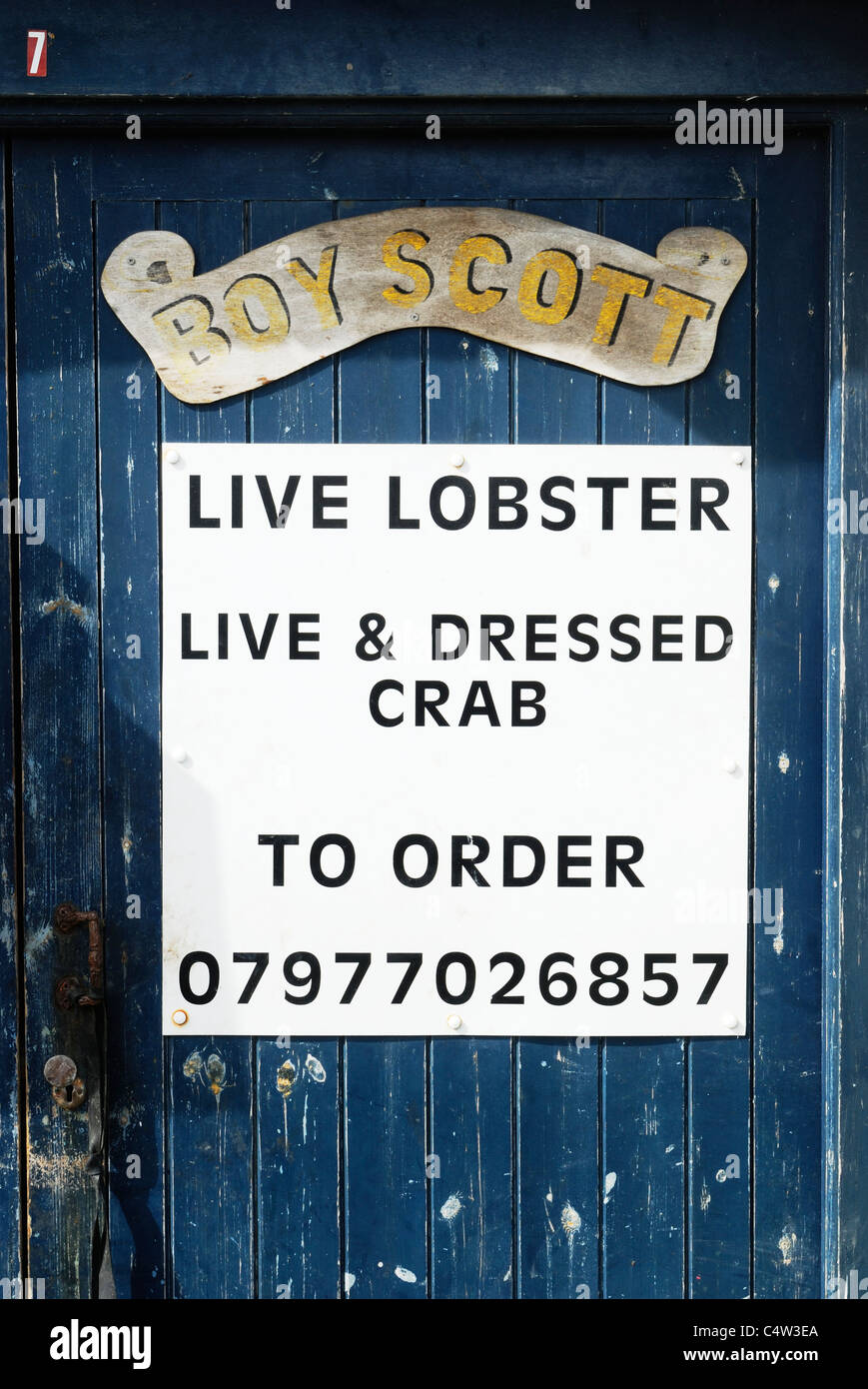 Segno pubblicità aragoste vive e granchi in vendita a Aberystwyth Harbour, il Galles. Foto Stock
