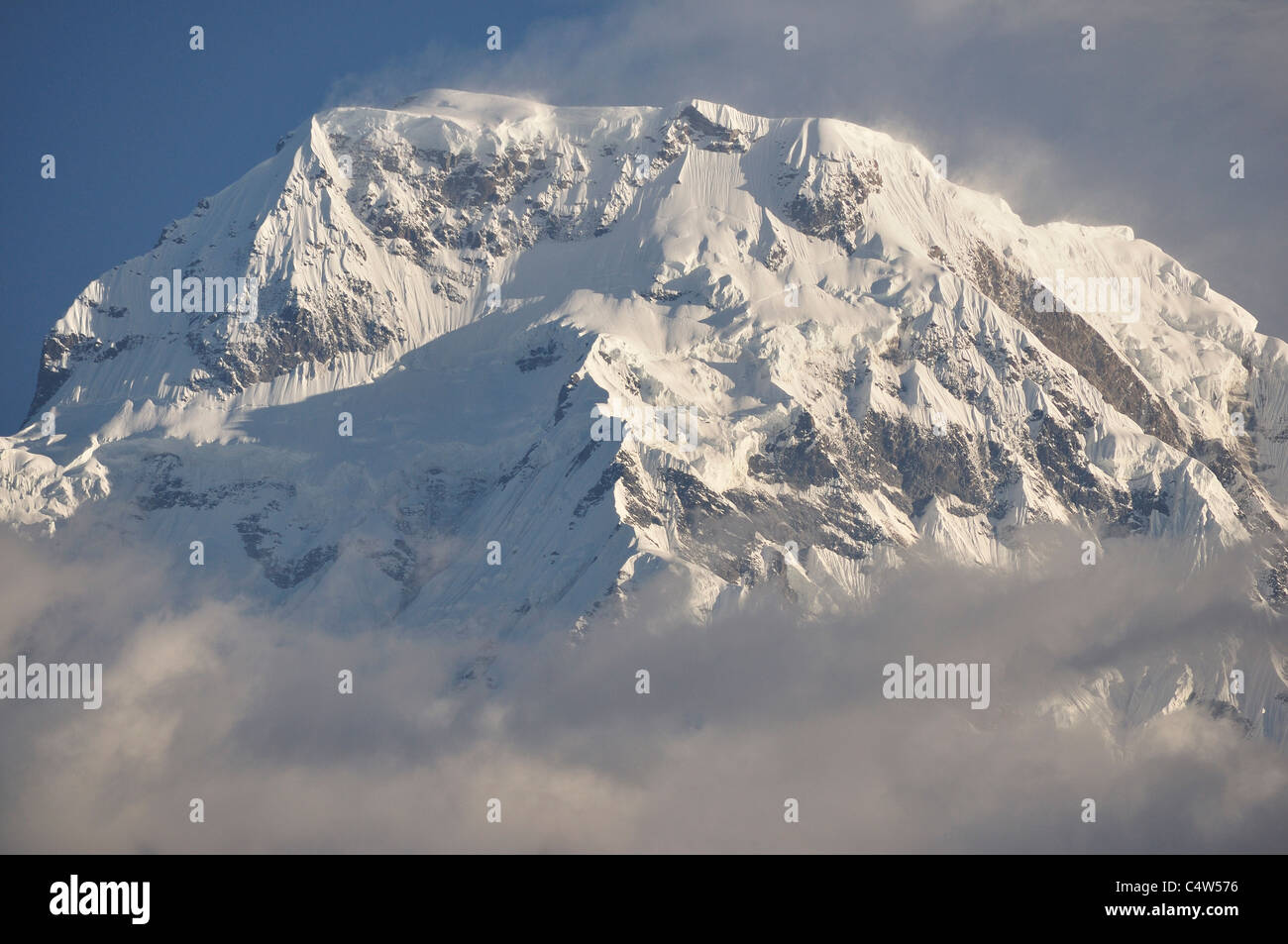 Annapurna sud, vista dal, Landruk Village, Annapurna Area di Conservazione, Gandaki, Pashchimanchal, Nepal Foto Stock