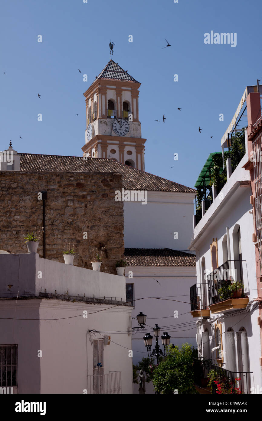 Marbella centrale della Chiesa al centro della città - rondini in volo vicino alla nidificazione Foto Stock