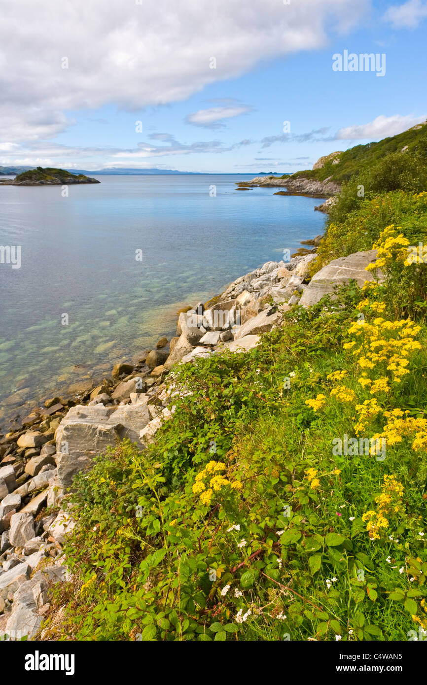 Vista sul Loch nan Uamh verso il suono di Arisaig in Scozia Foto Stock