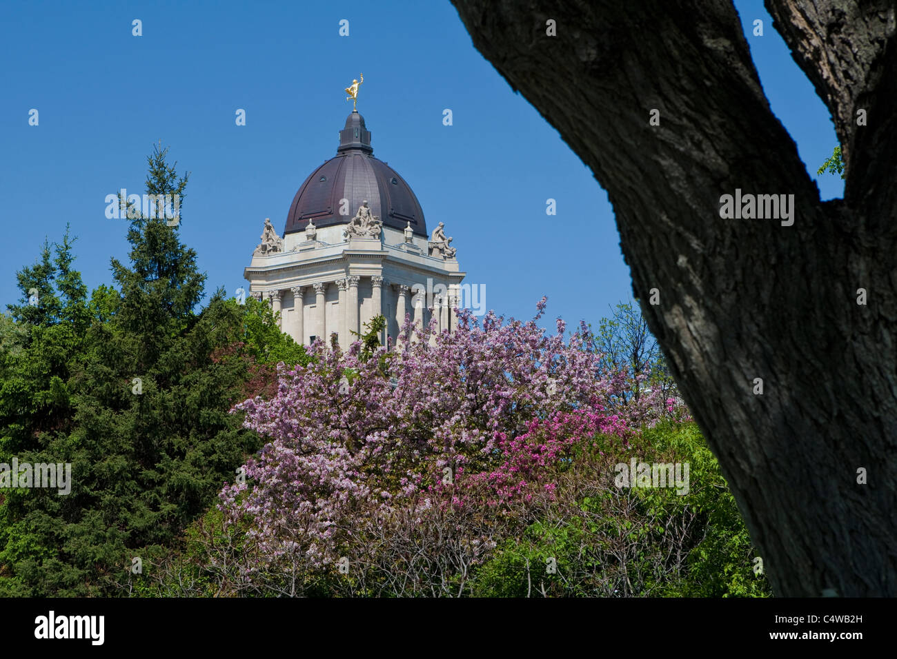 Il Manitoba Legislative Building Foto Stock