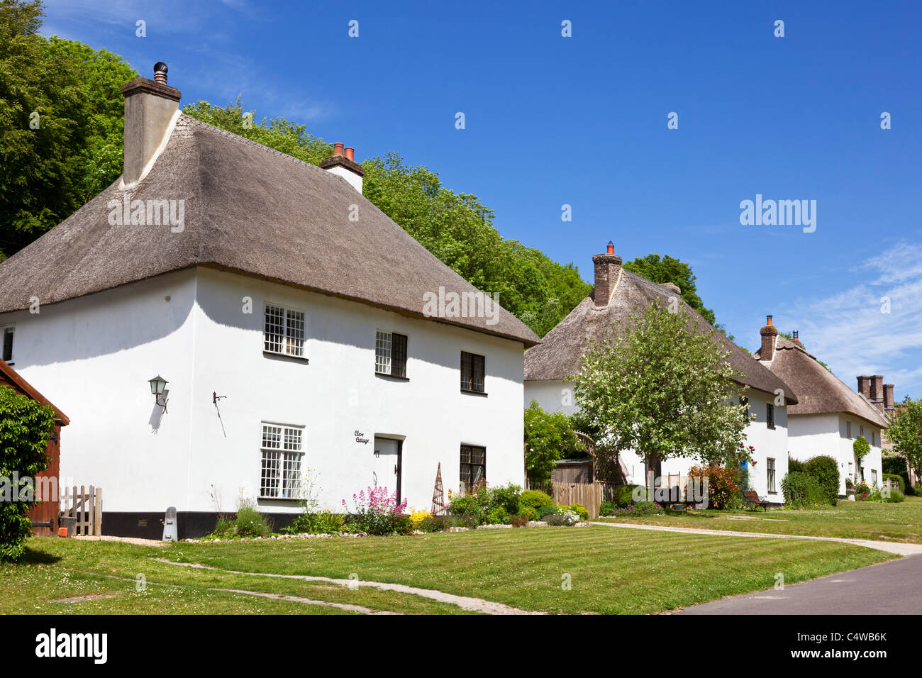 Fila di staccato cottage con il tetto di paglia, Milton Abbas, Dorset, England, Regno Unito Foto Stock