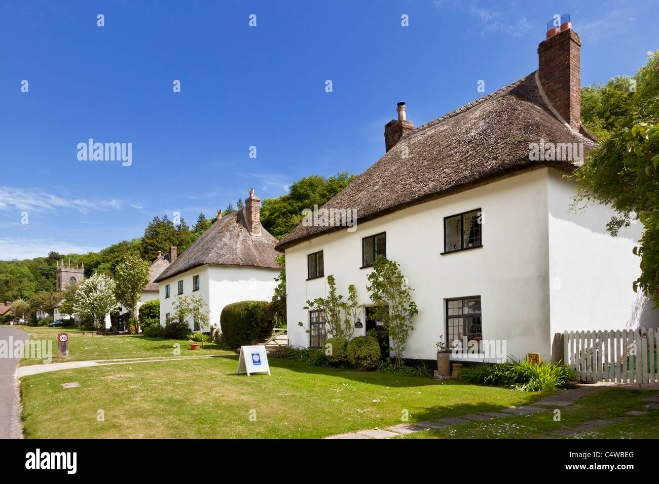 Fila di tradizionali staccato cottage con il tetto di paglia, Milton Abbas, Dorset, England, Regno Unito Foto Stock