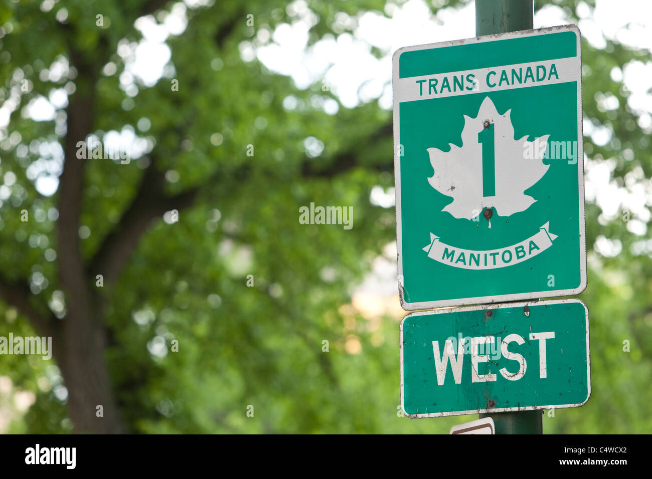 Strada Trans-Canada logo è raffigurato su autostrada 1 road (Broadway) in Winnipeg, Canada Foto Stock