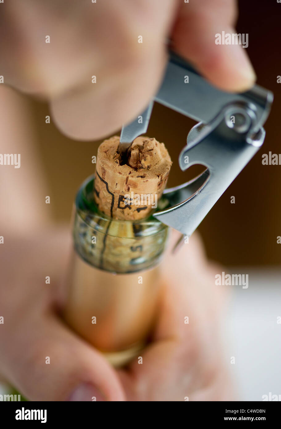 Close-up di uomo di mani di apertura della bottiglia di vino Foto Stock