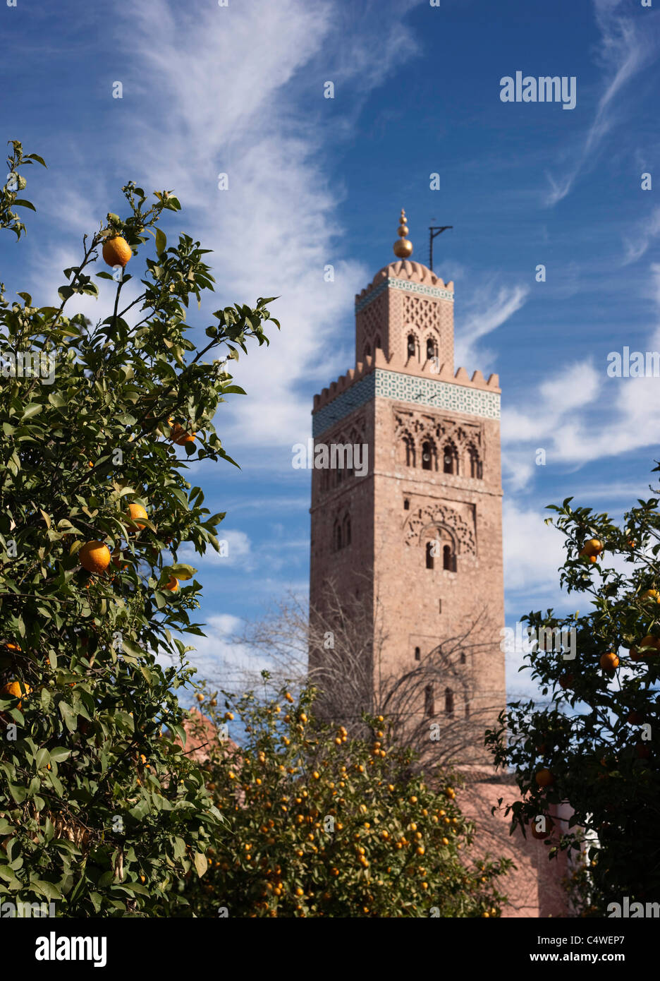 Orange alberi da frutto con il minareto della moschea Koutoubia in background. Marrakech, Marocco. Foto Stock