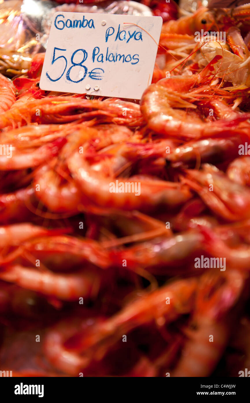 Pressione di stallo di frutti di mare a 'La Boqueria' mercato in Las Ramblas di Barcellona, Spagna Foto Stock