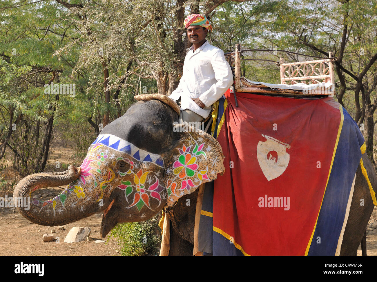 Mahout ed elefante Foto Stock
