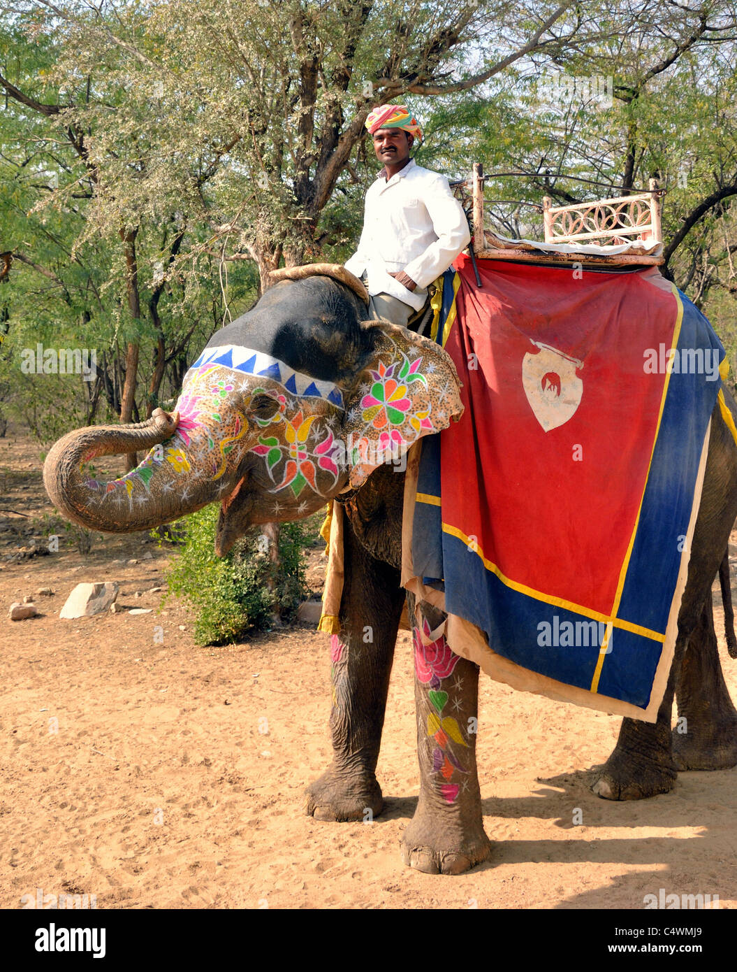 Mahout con il suo elefante Foto Stock