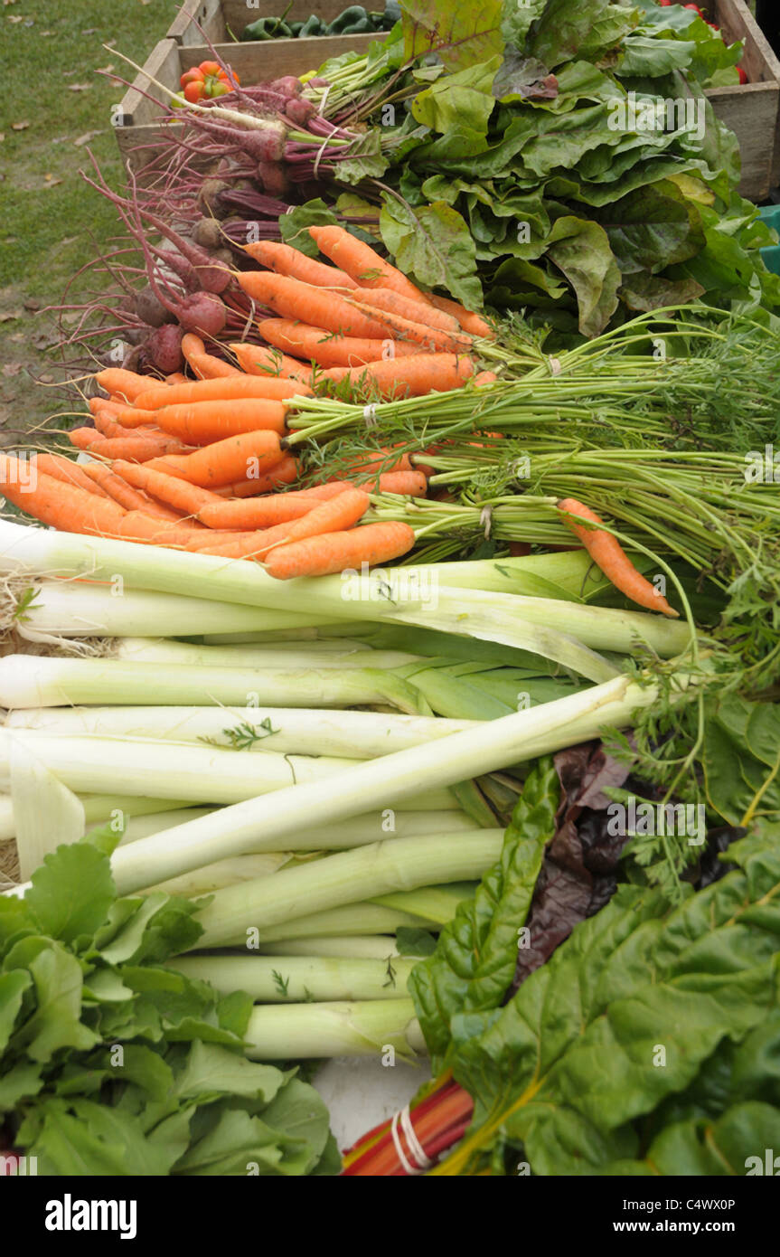 Le verdure vengono impilati in un locale mercato degli agricoltori in Waitsfield, Vermont. Foto Stock