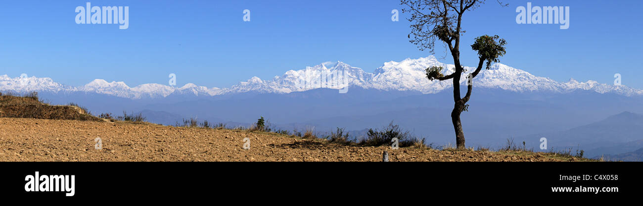 Panorama della coperta di neve la catena Hannapurna con un albero in primo piano, Bandipur, Regione Occidentale, Nepal Foto Stock