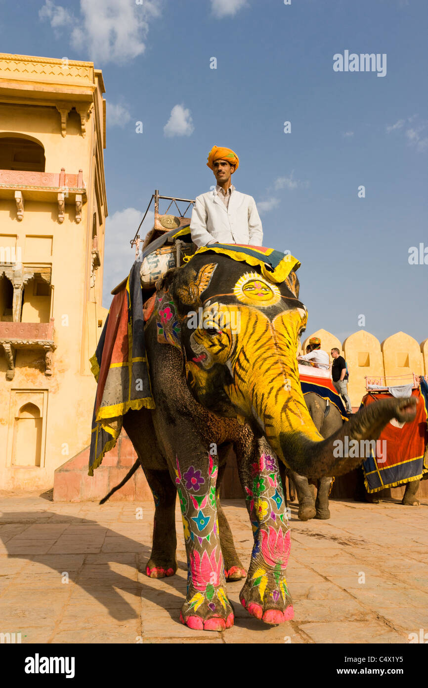 Mahout maschio equitazione elefante indiano lavorando alla famosa attrazione Amber Fort Jaipur India, colorato decorato elephant trunk verniciato, cielo blu Foto Stock