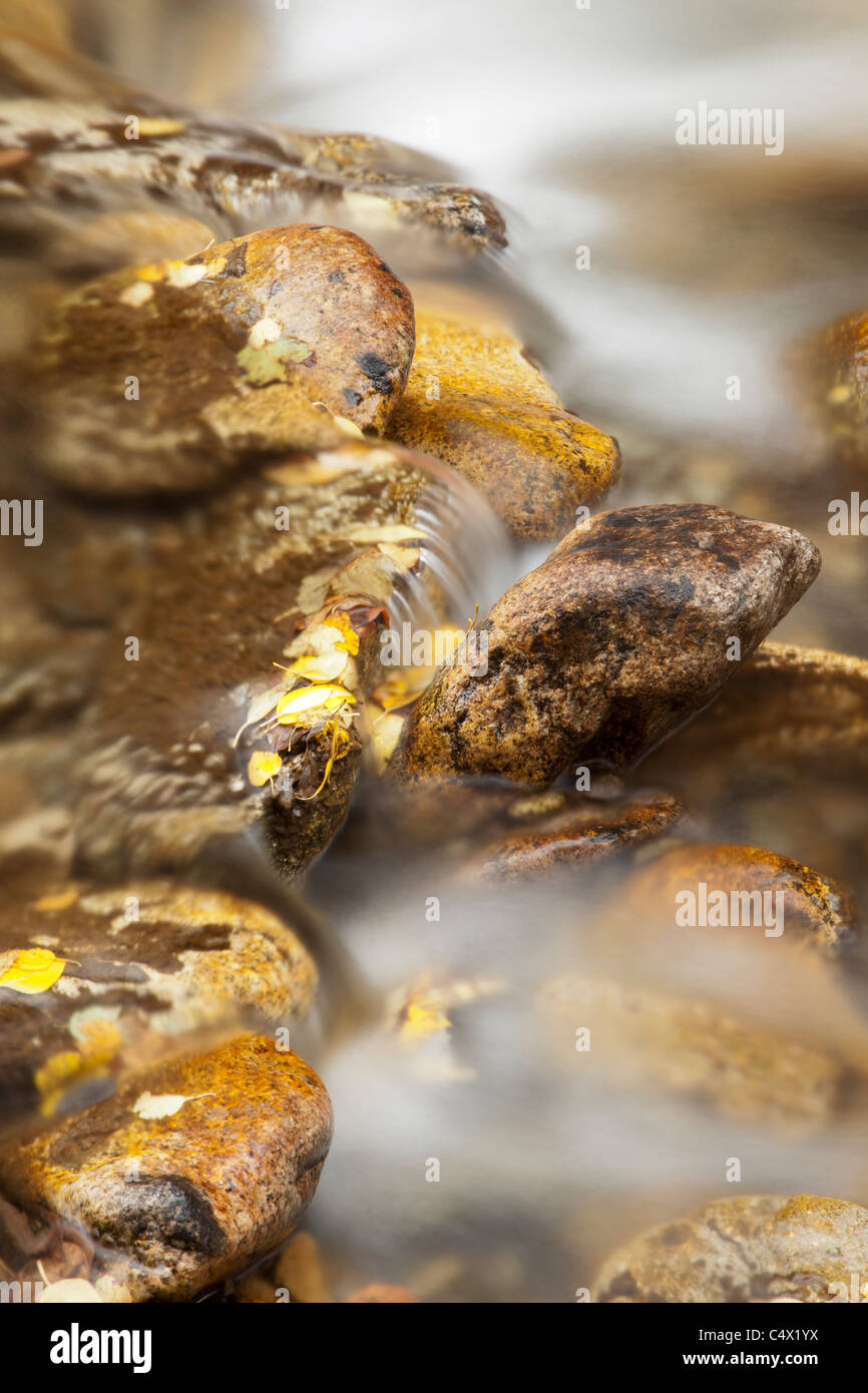 La bellissima natura SCENIC, in slow motion acqua di un fiume che scorre su giallo Foglie di autunno e rocce. Creative acqua di seta Foto Stock
