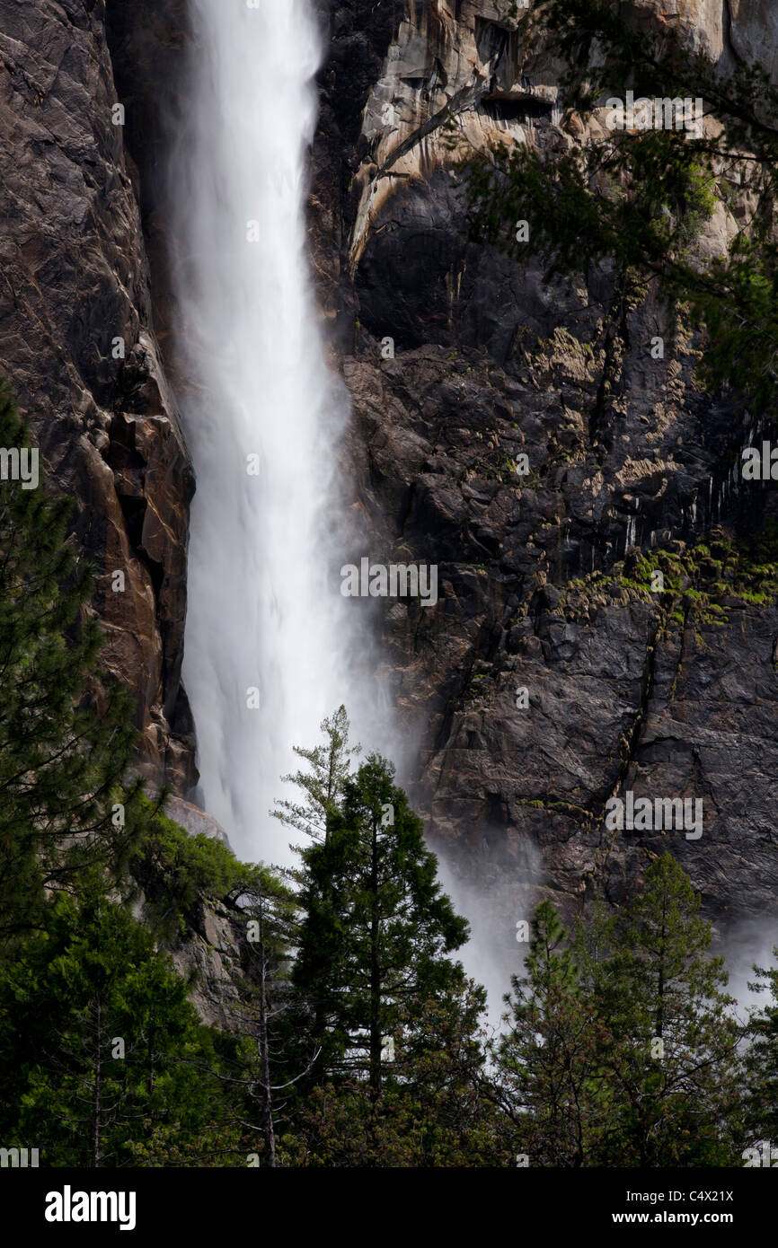 Bridal Veil Falls cascate vista ravvicinata di portata massima dalla molla scongelare la creazione di nebbia attorno agli alberi alla base del Parco Nazionale Yosemite in California US Foto Stock