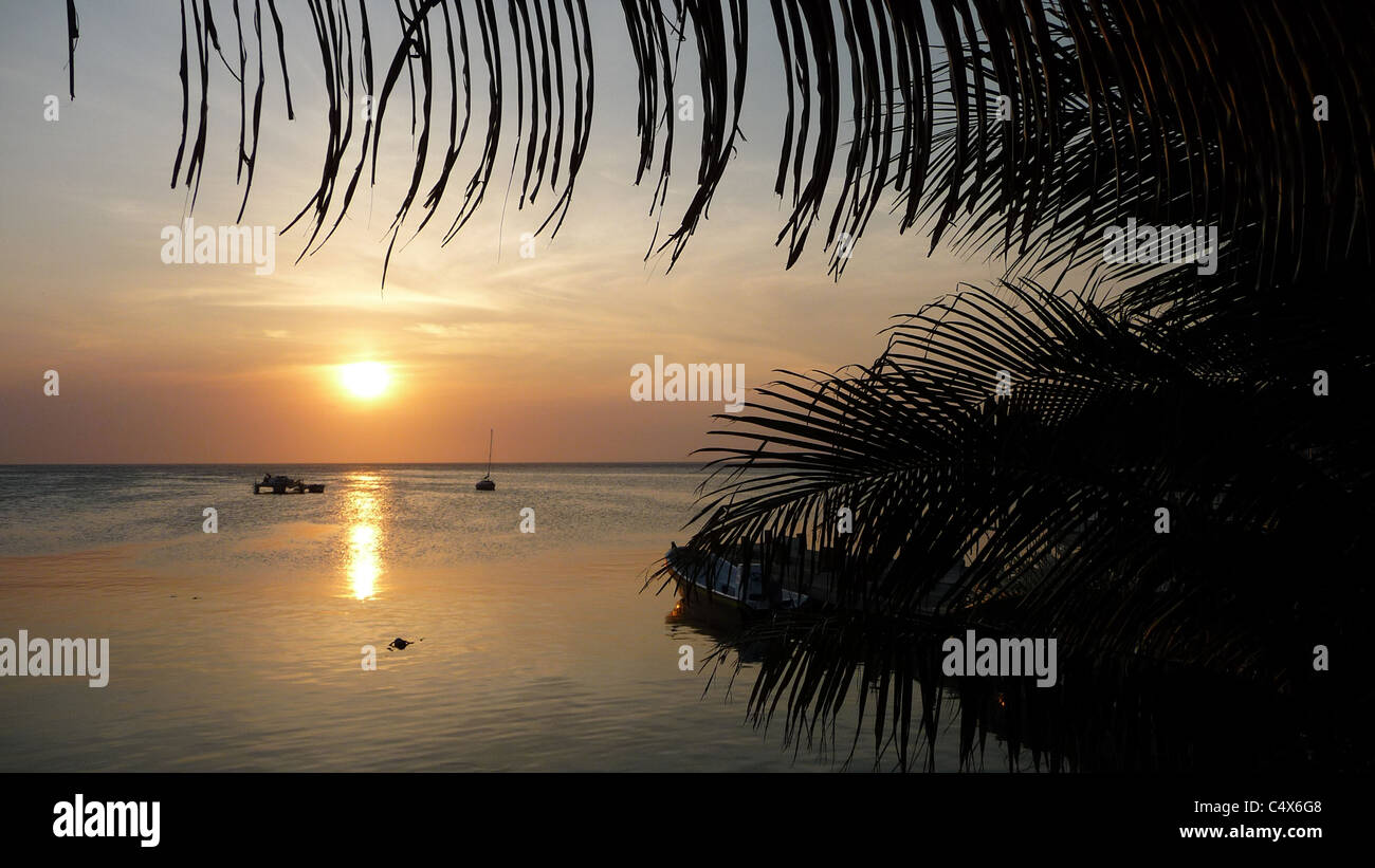 Tramonto, Roatan, isole della baia, Honduras, America Centrale Foto Stock