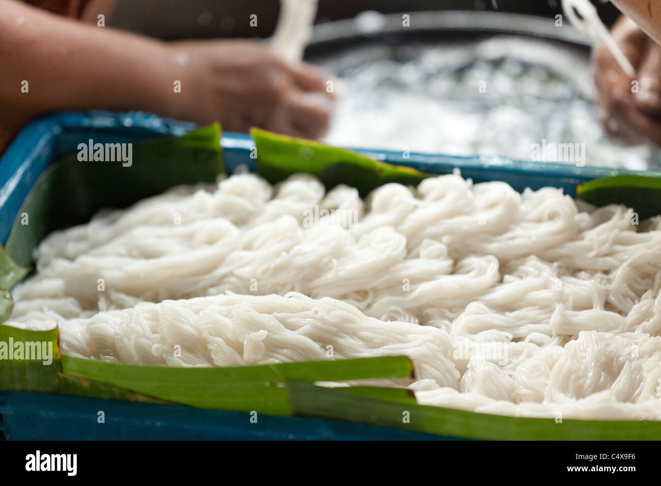Tailandese tradizionale riso tagliatelle in casa fabbrica. Petchaburi, Thailandia. Il prodotto finale in foglia di banano. Foto Stock
