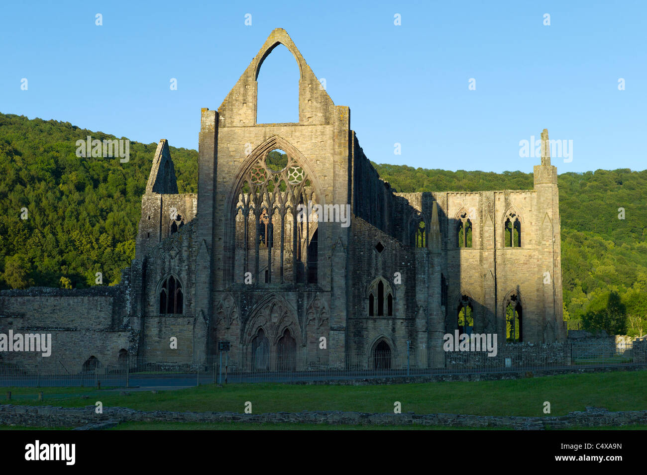 Tintern Abbey nella valle del Wye, Galles. Foto Stock