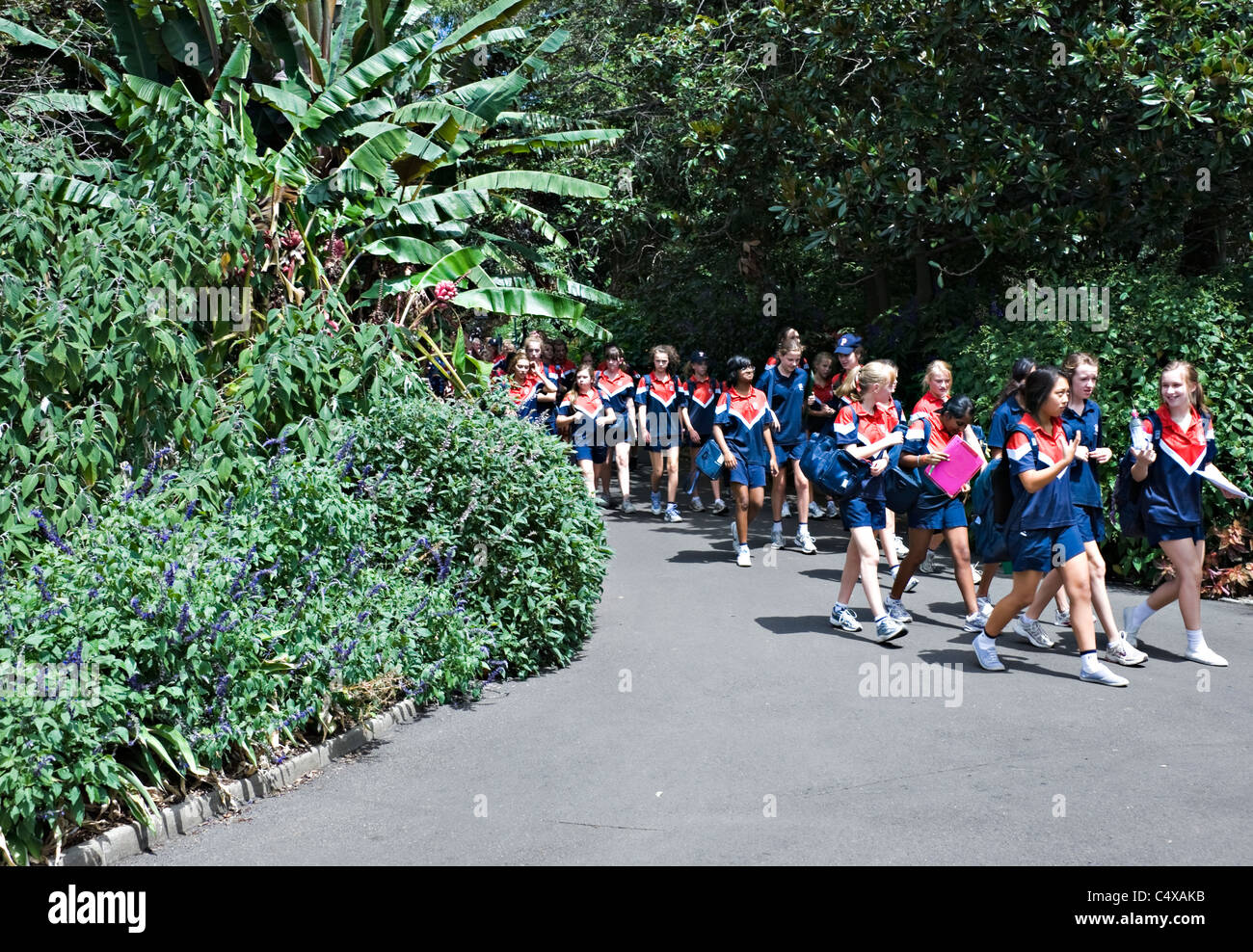 Si sono comportati molto bene la scuola dei bambini in linea a piedi attraverso il Royal Botanic Garden Sydney New South Wales AUSTRALIA Foto Stock