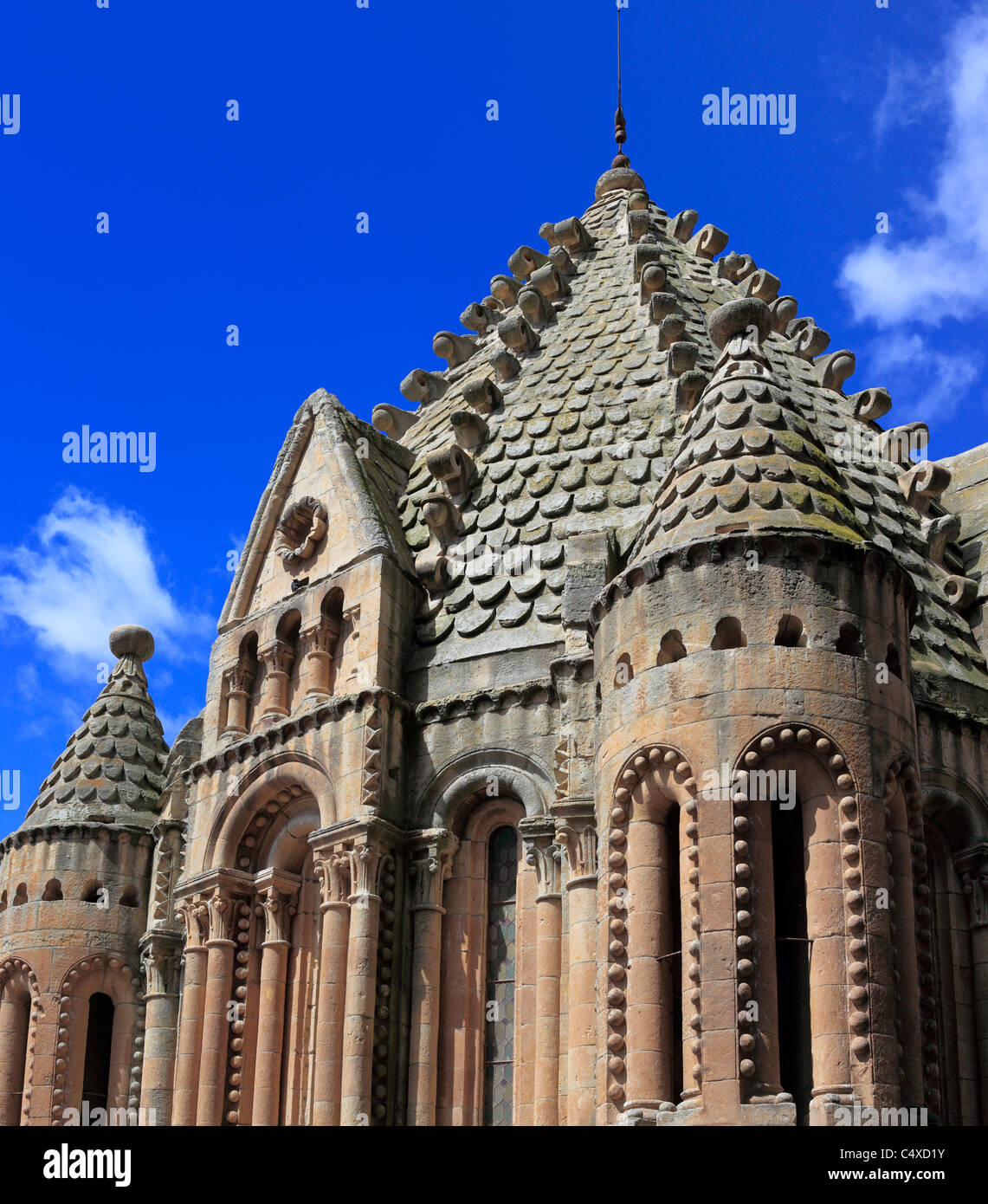 Vecchia Cattedrale (Catedral Vieja de Santa Maria), Salamanca Castiglia e Leon, Spagna Foto Stock