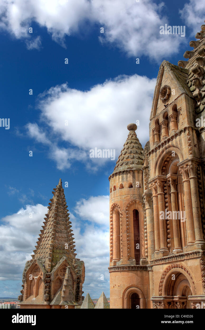 Vecchia Cattedrale (Catedral Vieja de Santa Maria), Salamanca Castiglia e Leon, Spagna Foto Stock
