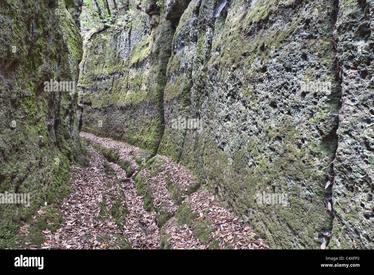 Bottiglia di spumante Cava Buia o 'Dark grotta", suggestiva "Tagliata Etrusca". Norchia, Italia centrale. Foto Stock