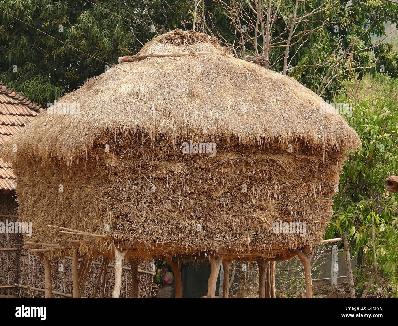 Il fieno stoccati per alimentazione di animali domestici, Mahabaleshwar, Satara, Maharasthra, India Foto Stock
