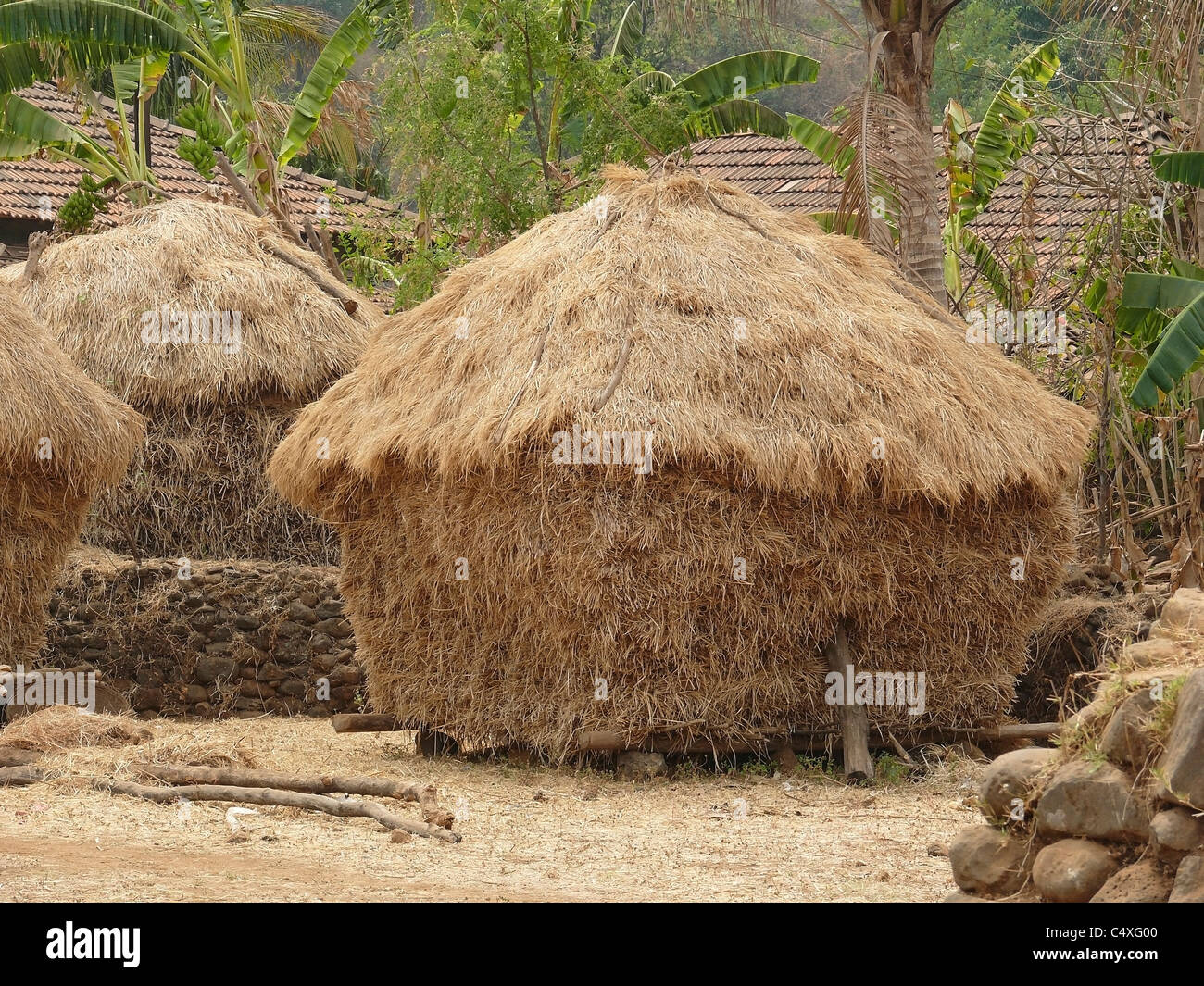 Il fieno stoccati per alimentazione di animali domestici, Mahabaleshwar, Satara, Maharasthra, India Foto Stock