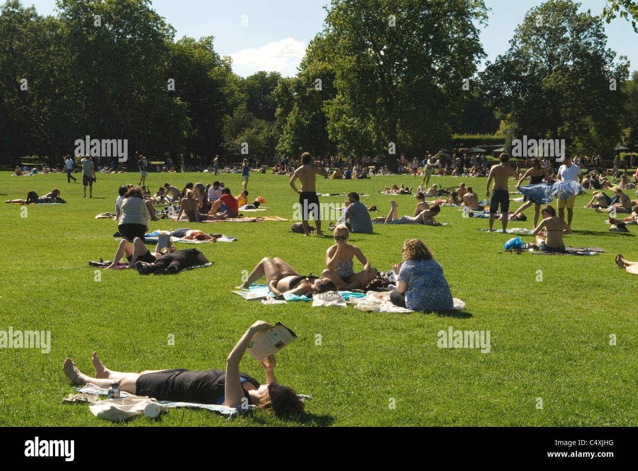 Queens Park North London caldo estate sole donna leggere un libro che lo tiene in su per proteggere i suoi occhi dal sole. 2011 2010S REGNO UNITO HOMER SYKES Foto Stock