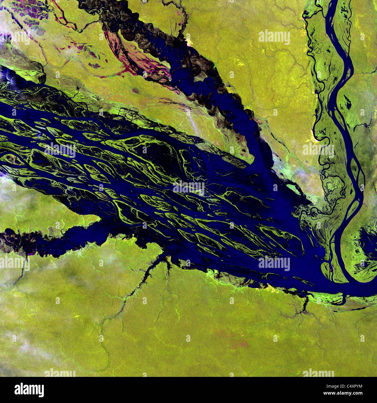 Amazon river satellite view immagini e fotografie stock ad alta risoluzione  - Alamy
