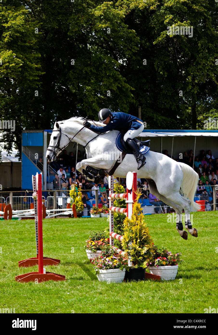 Horse Show Jumping a 2011 Royal Highland Show Ingliston Edinburgh Scotland Regno Unito Foto Stock