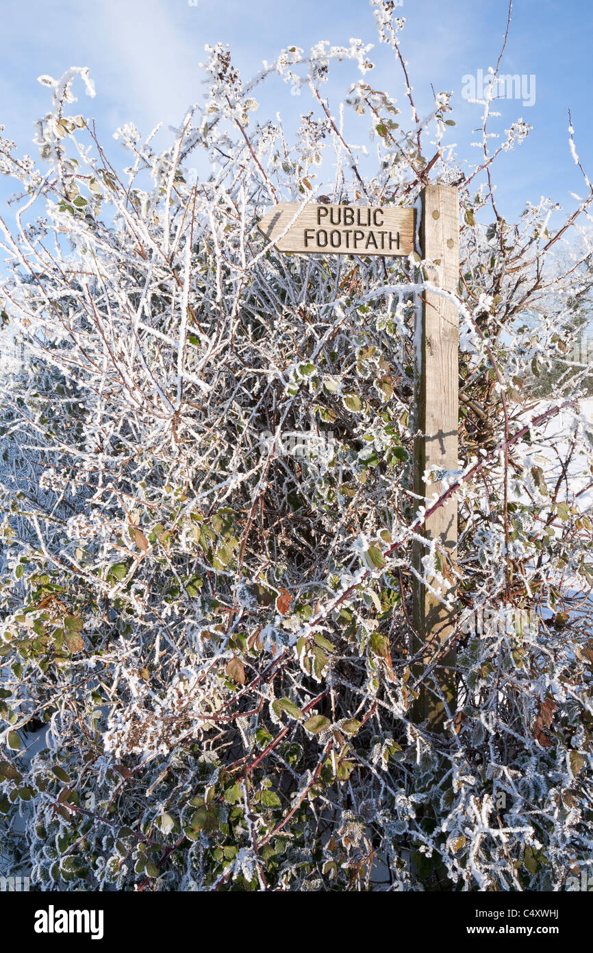 Un di legno sentiero pubblico segno sporgente da un rovo hedge su un luminoso freddo gelido giorno Foto Stock