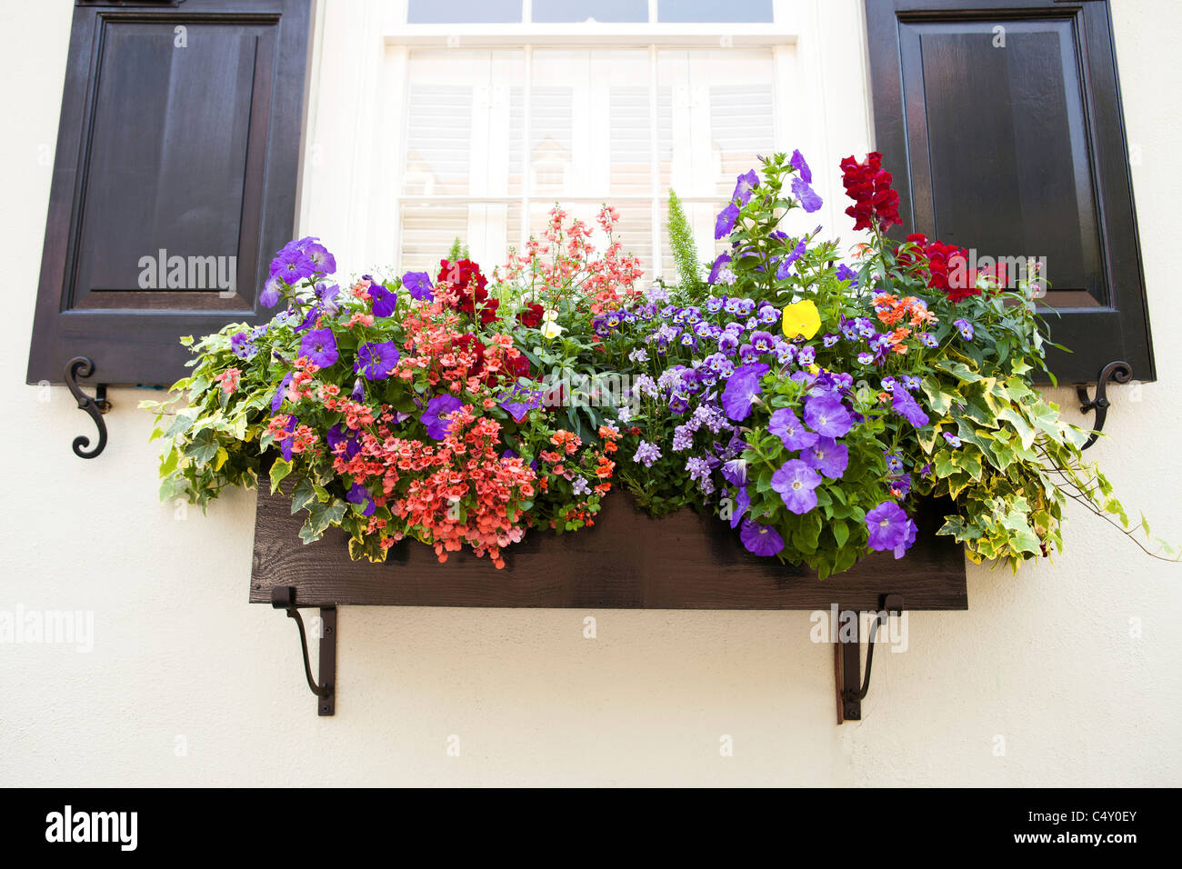Window Box con fiori Foto Stock