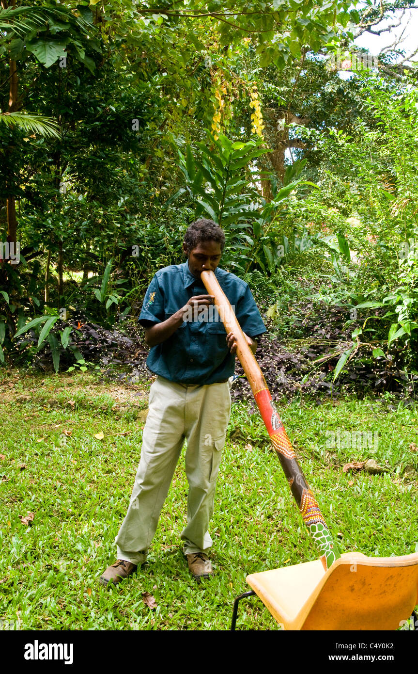 Aborigeno australiano giocando un didgeridoo Foto Stock