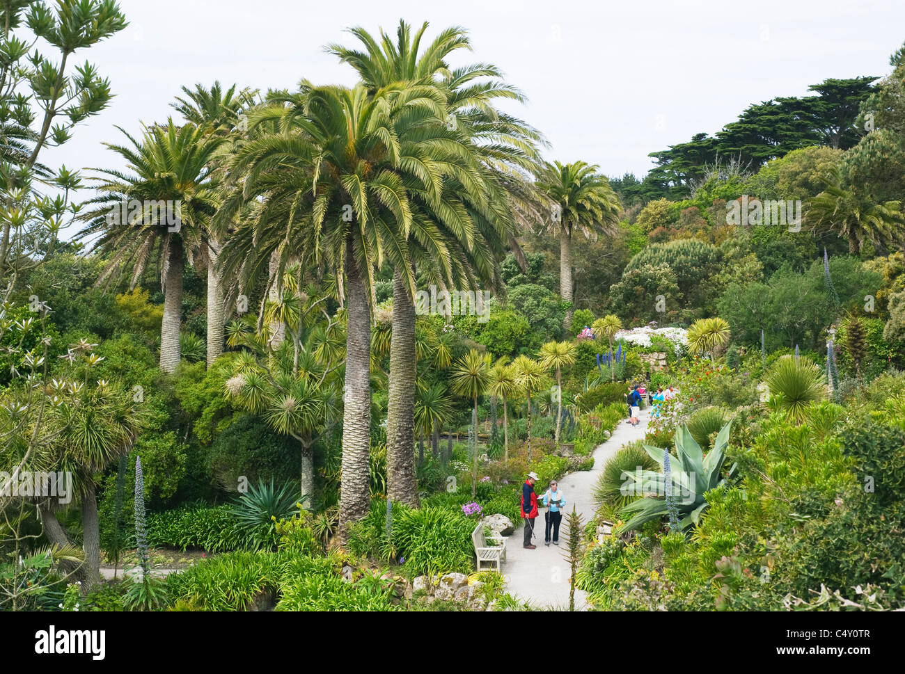 Tresco Abbey Gardens, isole Scilly,. Cornwall, Regno Unito Foto Stock