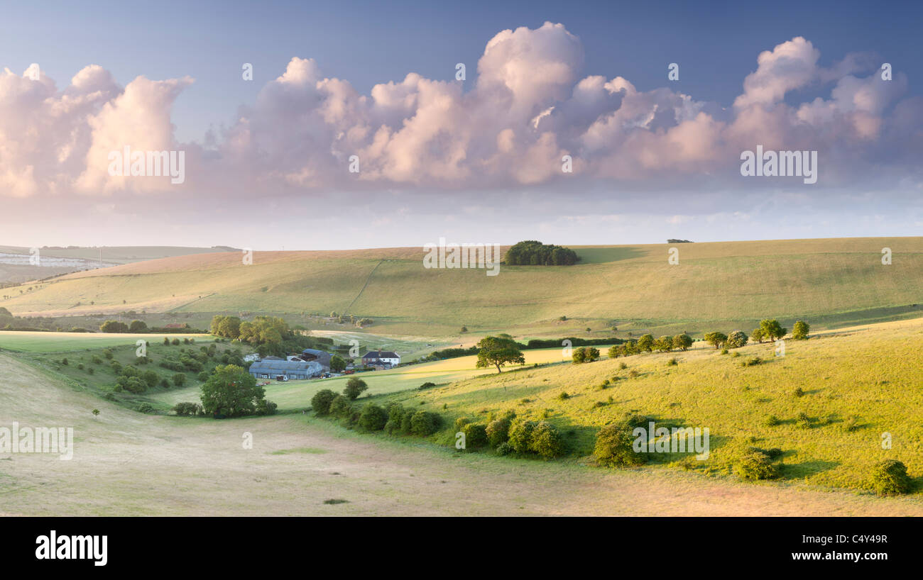 Alba sul Steyning ciotola. South Downs National Park, West Sussex, in Inghilterra, Regno Unito Foto Stock