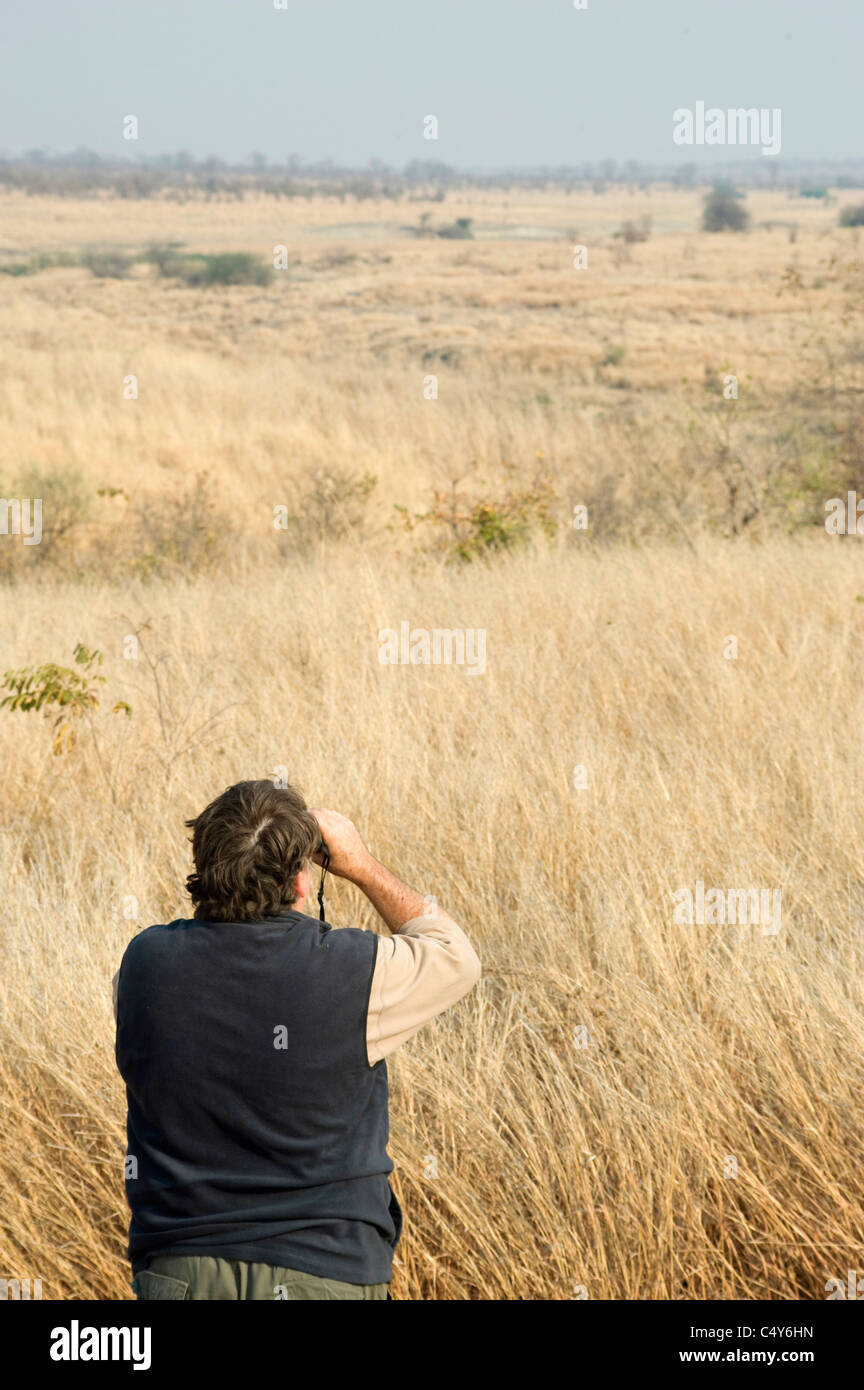 Un appassionato di fauna selvatica scansiona la boccola per animali in Zimbabwe Kazuma Pan Parco Nazionale. Foto Stock