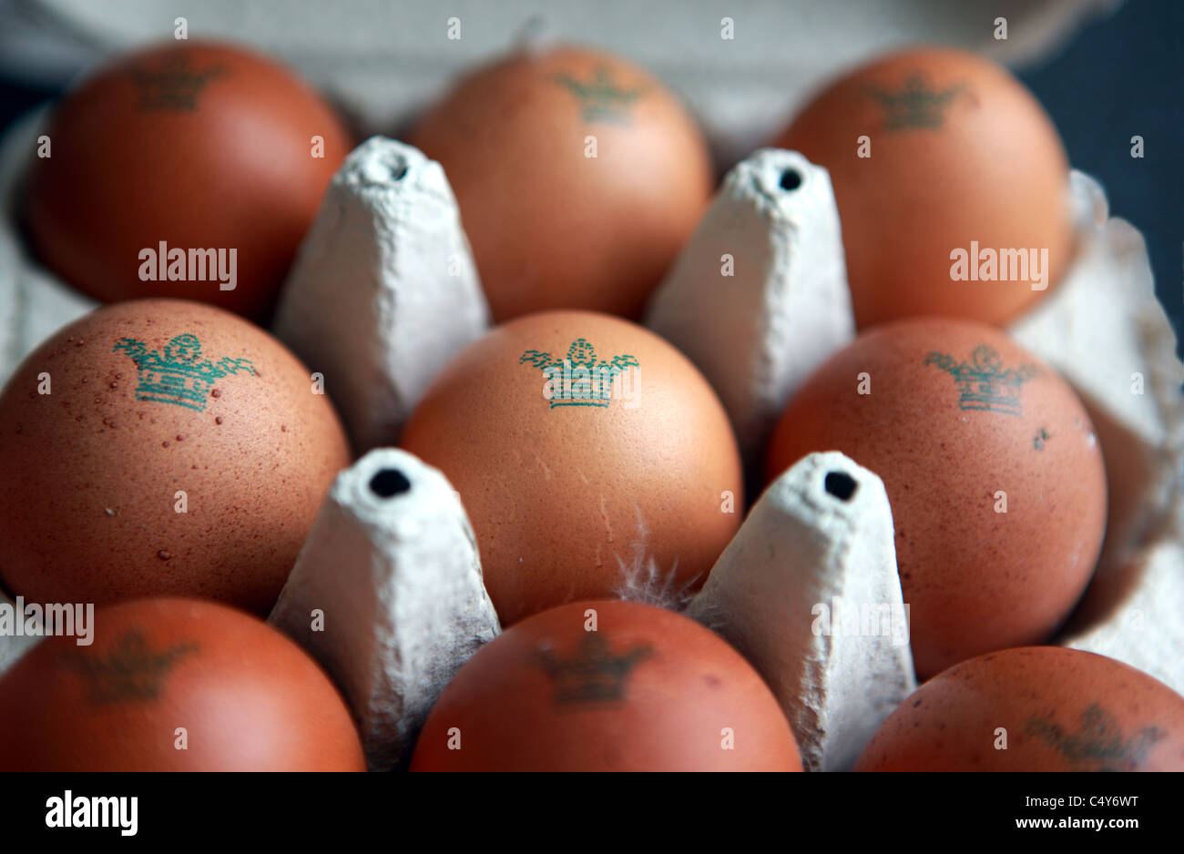 Free range uova da marrone a Burford galline in una scatola per uova Foto Stock