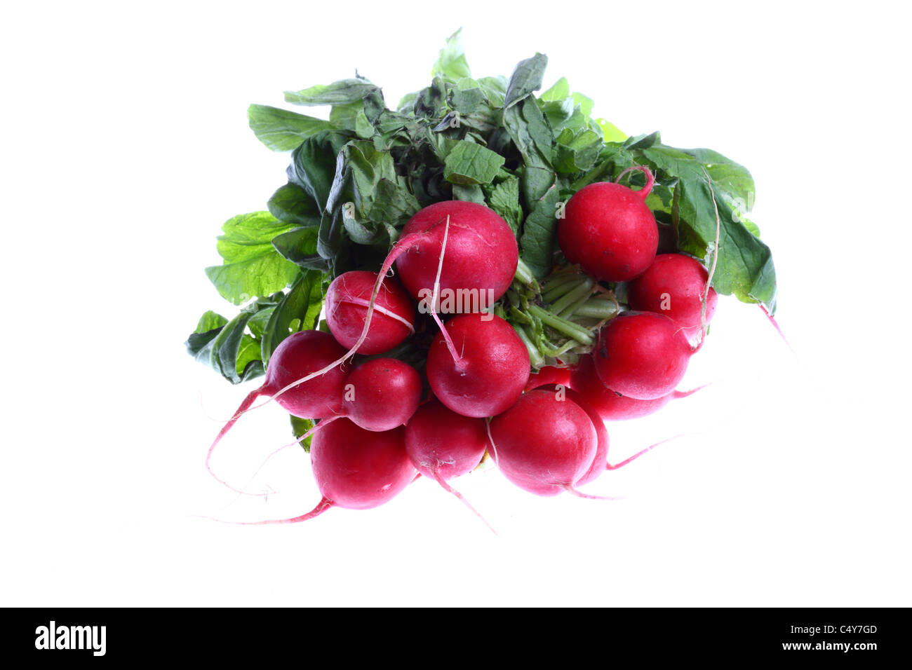 Vegetali, Rafano, ravanelli. Foto Stock