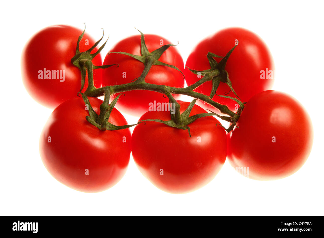 Vegetali di pomodoro rosso, vite-pomodori maturi. Foto Stock