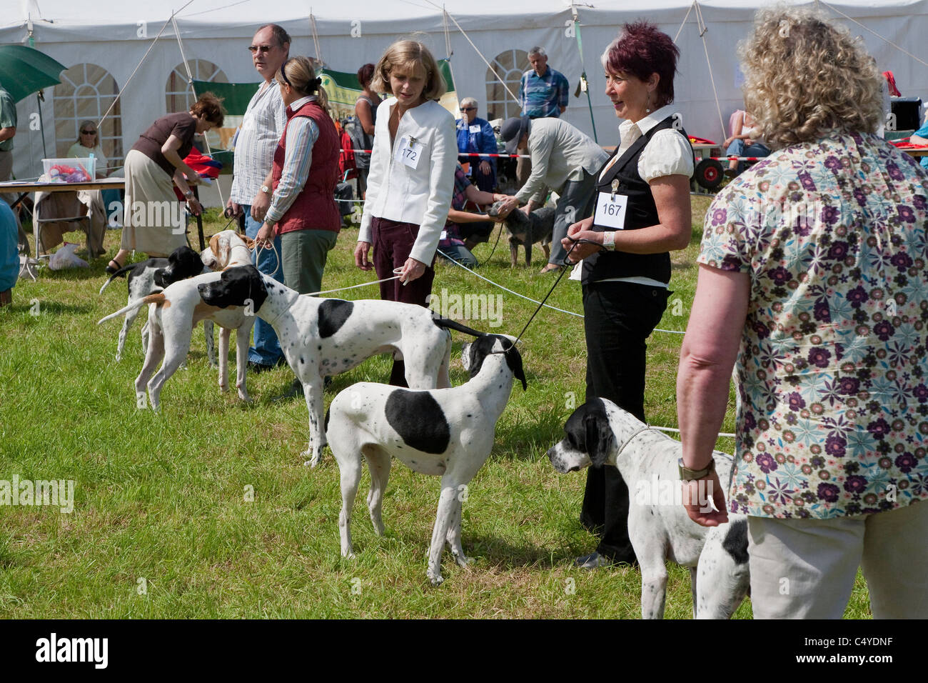 I partecipanti IN MOSTRA AGRICOLA CHEPSTOW MONMOUTHSHIRE Wales UK che mostra i cani di lavoro Foto Stock